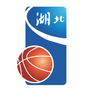 湖北全运男篮